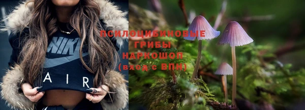 PSILOCYBIN Арсеньев