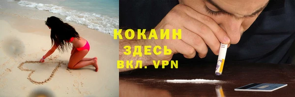сатива Аркадак