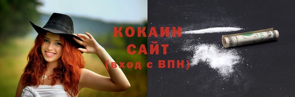 сатива Аркадак