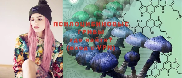 PSILOCYBIN Арсеньев