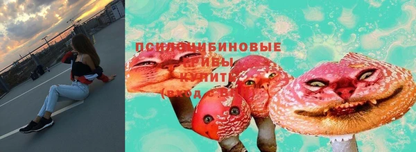 сатива Аркадак