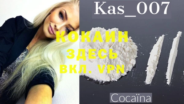 сатива Аркадак