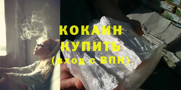 индика Семилуки
