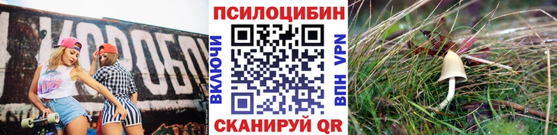 Галлюциногенные грибы Cubensis  где продают наркотики  Курганинск 